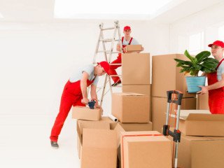 Cheap Movers Packers In UAE 0559972621