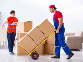 Movers Packers Palm Jumeirah Dubai 0559972621