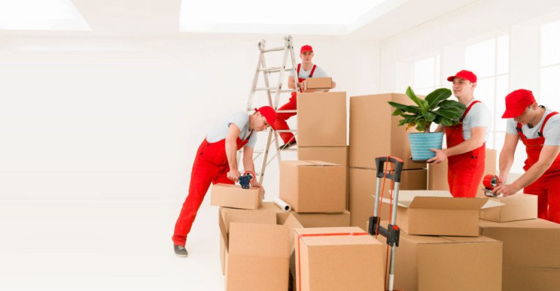 movers-packers-the-green-view-dubai-0559972621-big-2